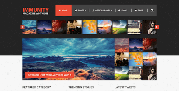 Immunity 1.2.4 – WordPress Theme With Magazine & Blog Layouts