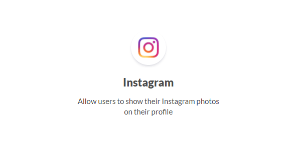 Ultimate Member Instagram 2.0.6