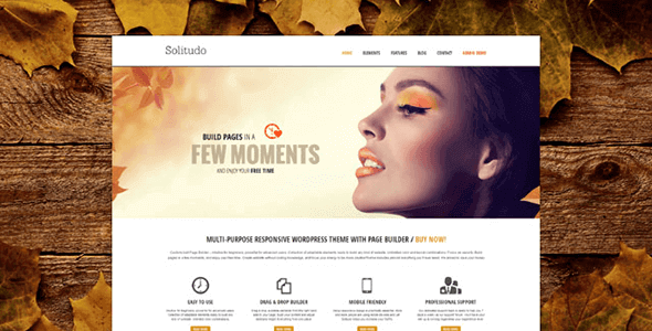 AIT Solitudo 3.0.7 – Responsive Multi-purpose Theme