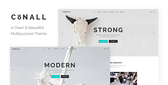 Conall 2.3 – A Clean & Beautiful Multipurpose Theme