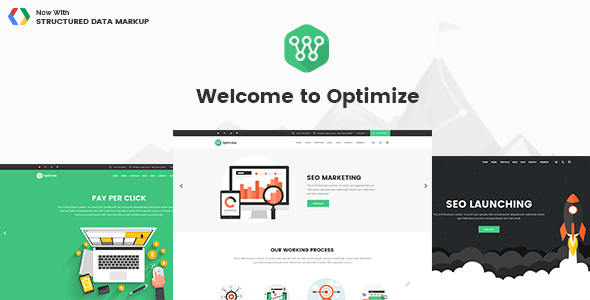 Optimize 2.1 NULLED – SEO Digital Marketing Social Media Theme