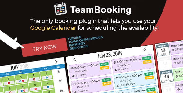 Team Booking 2.6 – WordPress booking system