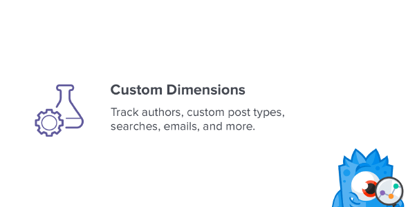 MonsterInsights Custom Dimensions Addon 2.0.2