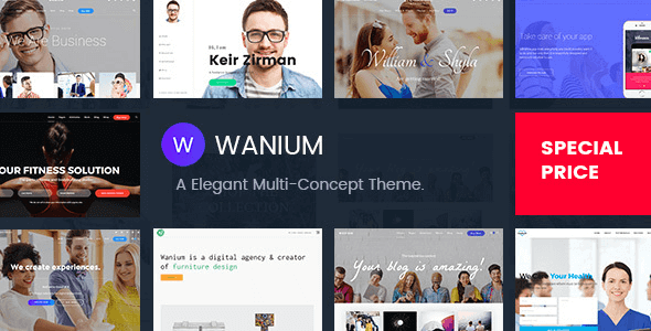 Wanium 1.7.8 – A Elegant Multi-Concept Theme