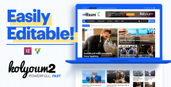 Kolyoum 2.4.1 NULLED – Newspaper WordPress Theme