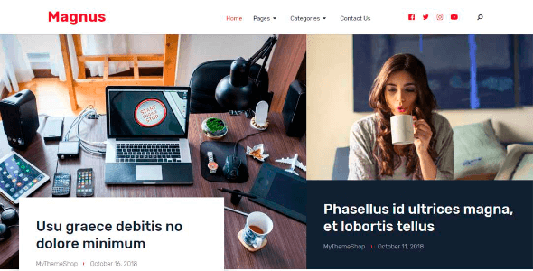 Magnus 1.1.4 – Dynamic WordPress Theme For Creating a Vibrant Website
