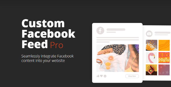 Instagram Feed Pro 6.1.1 NULLED