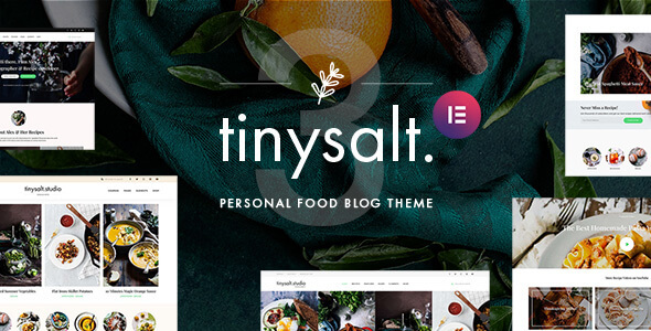 TinySalt 3.0.0 – Personal Food Blog WordPress Theme